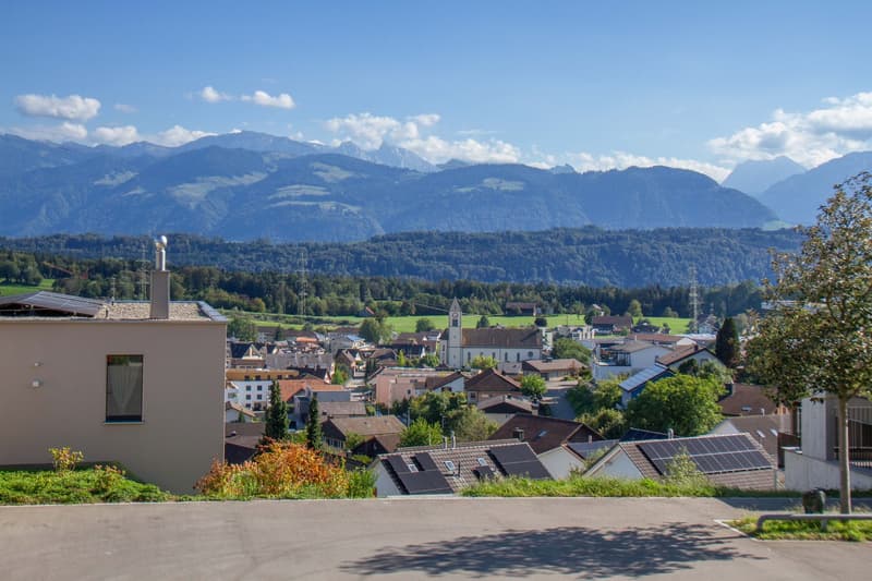 Helle und grosse 2.5-Zi-Terrassenwhg mit herrlicher Fernsicht, Wohnkomfort und schönen Materialien (1)