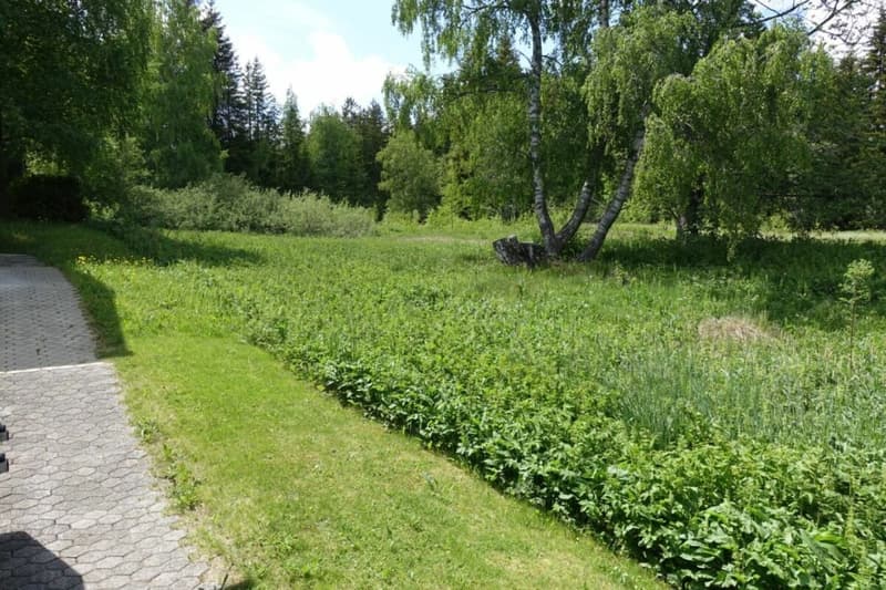 Gleich neben dem Haus befindet sich ein direkter Zugang zum Naturschutzgebiet sowie zu einem Waldpfad.