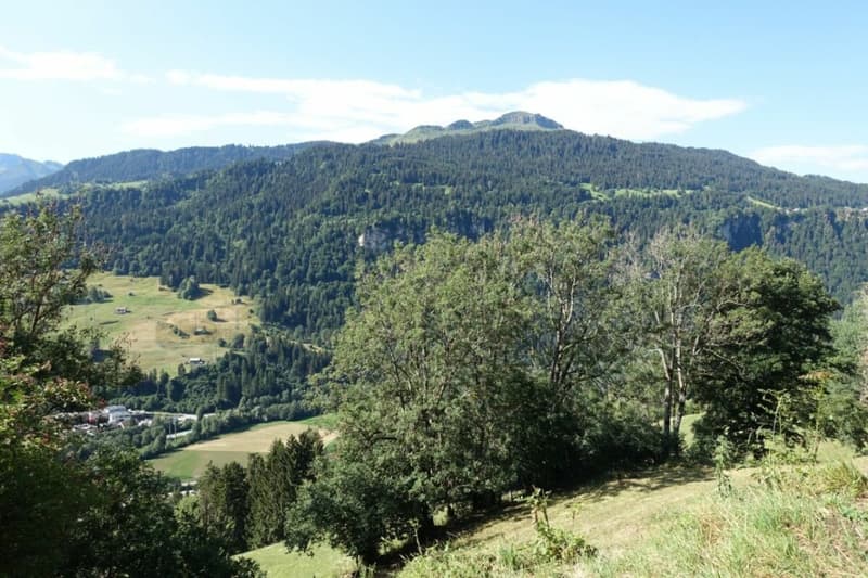 Die Aussicht von der Parzelle aus