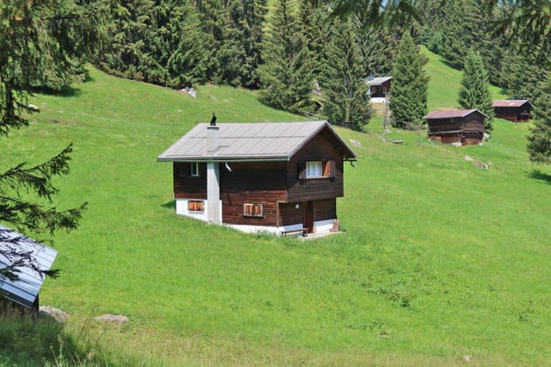 Das Maiensäss «Casa Alpina» (3)