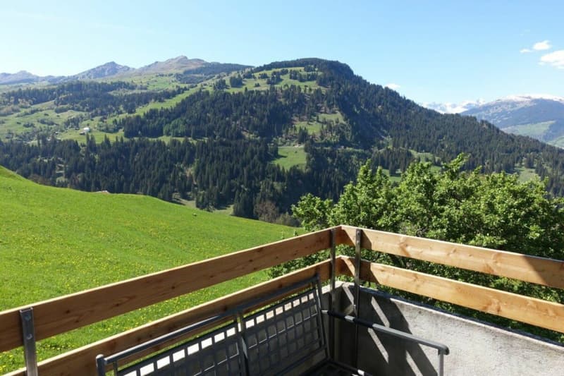 Der Balkon
