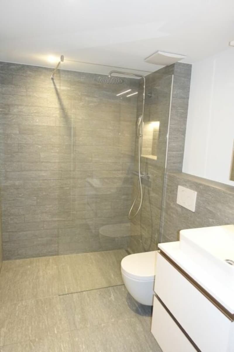 Eine Nasszelle mit grosser Dusche, Toilette und Lavabo