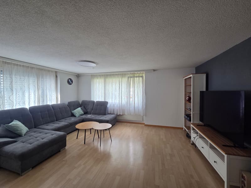 Cozy apartment with mountain views (11)