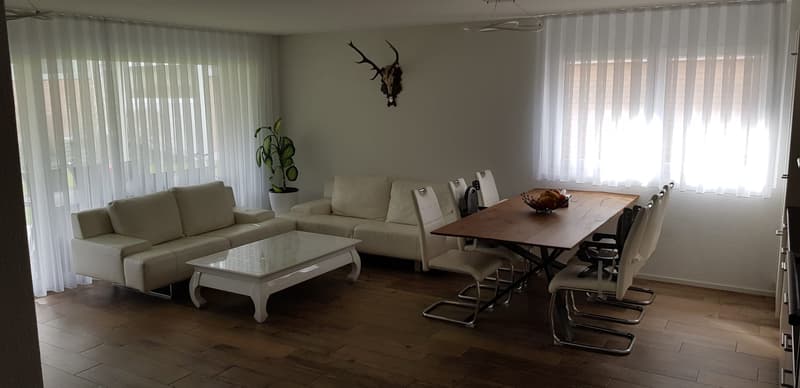 exklusive moderne 4.5-Zimmerwohnung mit Sitzplatz (3)