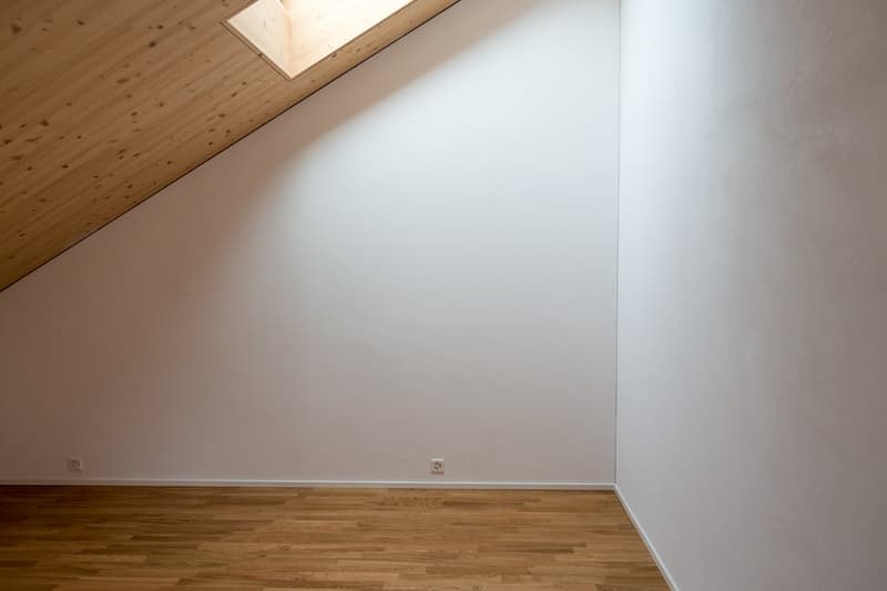 Modern and bright attic apartment (5)