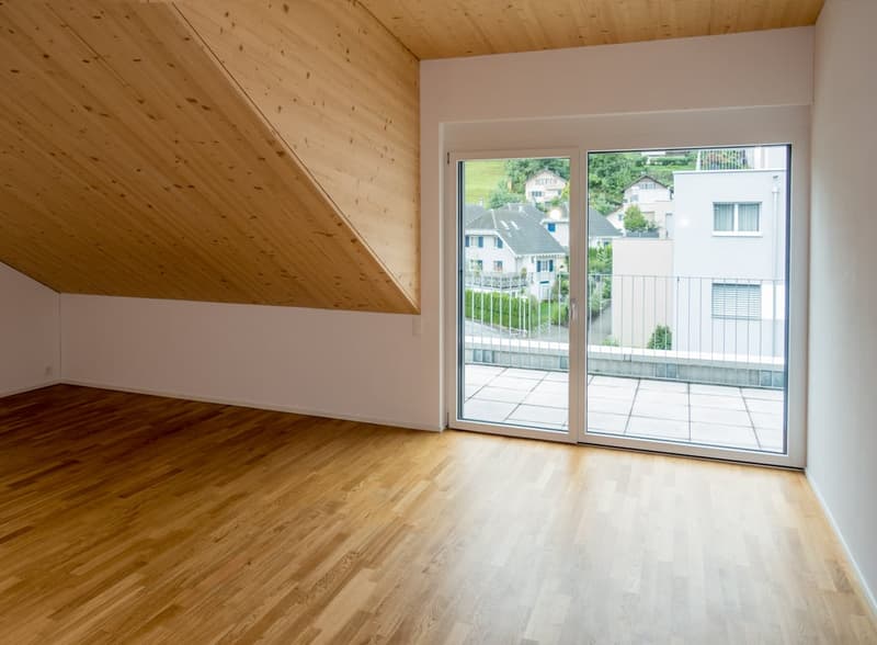 Modern and bright attic apartment (3)