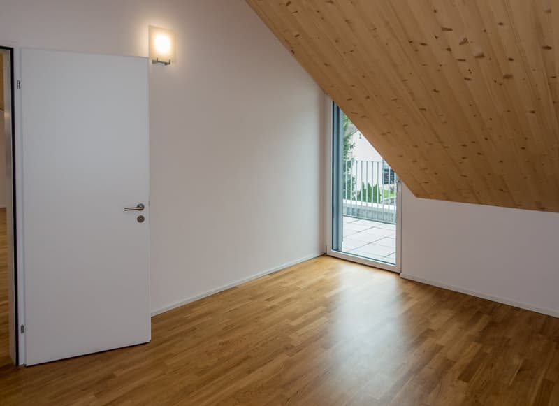 Modern and bright attic apartment (4)
