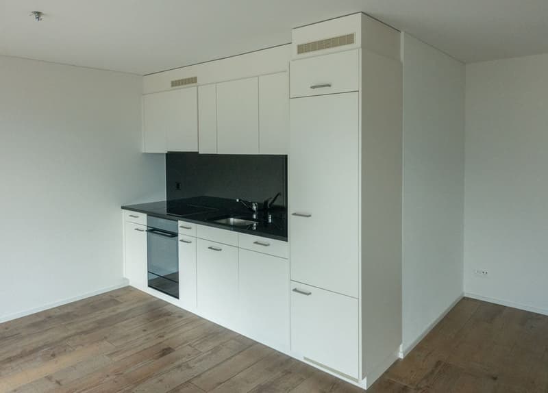 Appartement lumineux 2.5 pièces avec balcon et vue sur les montagnes à Glarus Nord (2)