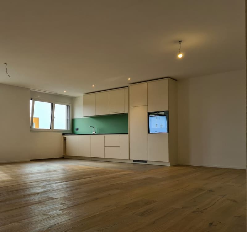 Modern 3.5-room new apartment with balcony in Gommiswald (2)