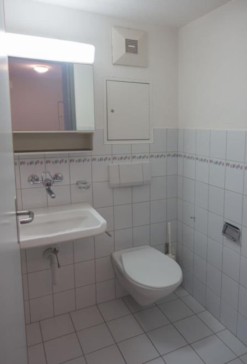 Möbliertes 1-Zimmer-Studio in Glarus zu vermieten (4)