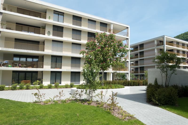 Vivere in esclusiva in un ambiente verde (2)