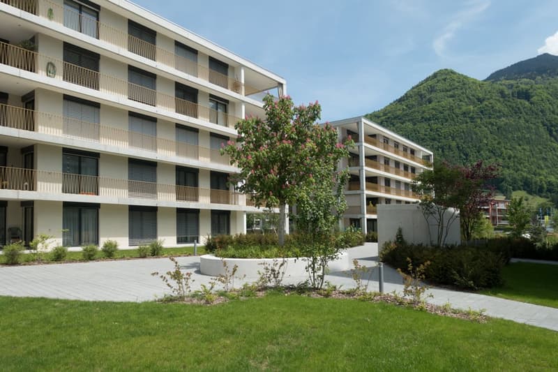 Vivere in esclusiva in un ambiente verde (3)
