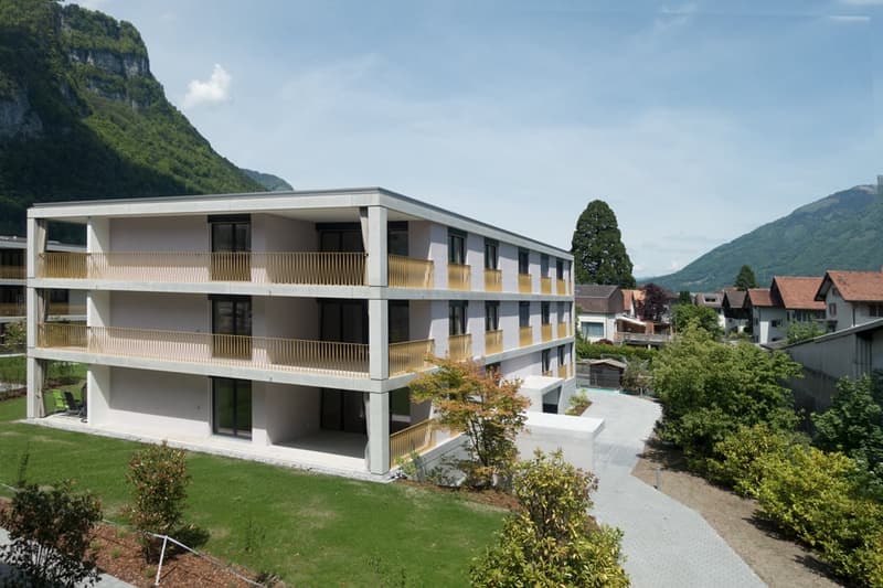 Vivere in esclusiva in un ambiente verde (1)