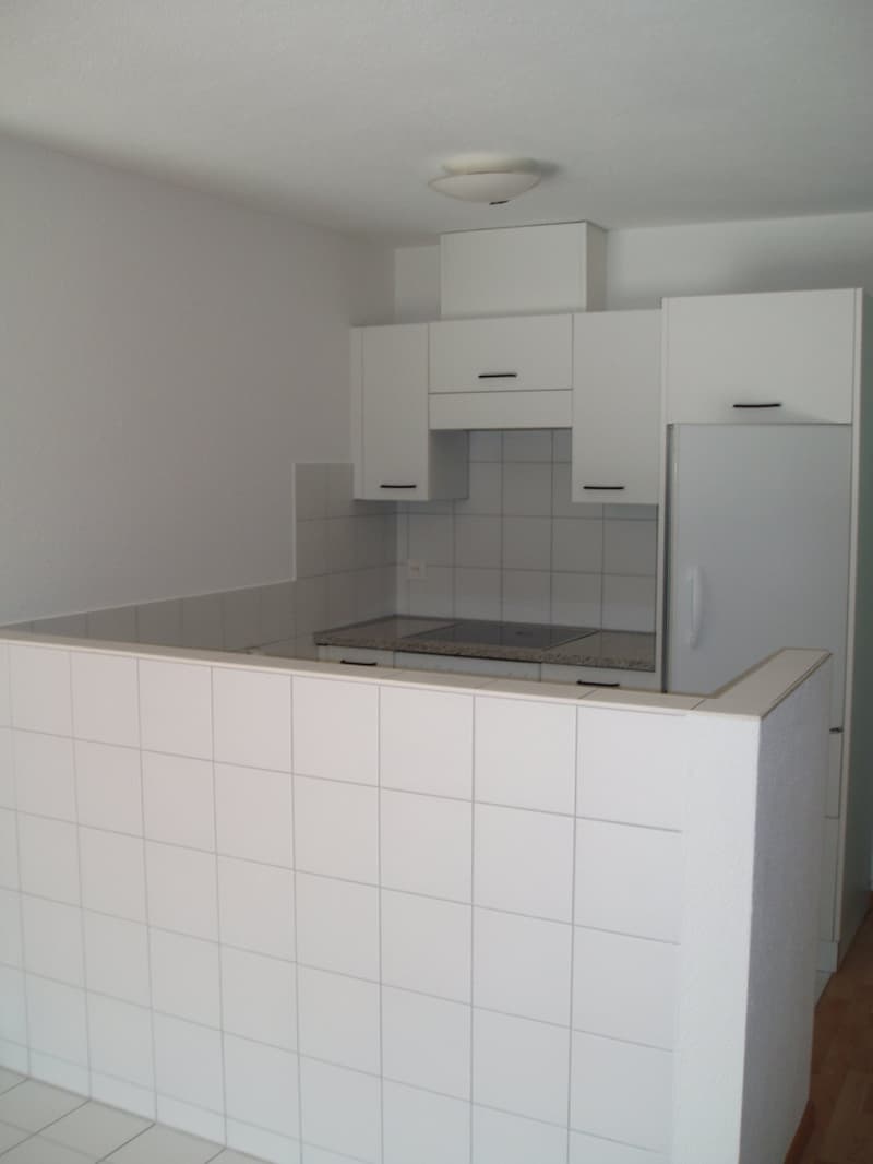 Appartamento molto bello di 2.5 locali - nel centro di Glarus (1)