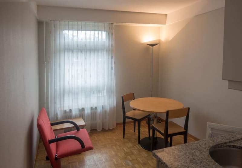 Studio meublé de 1 pièce à Glarus à louer (1)