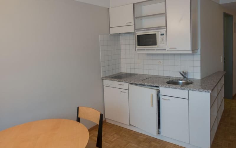 Studio meublé de 1 pièce à Glarus à louer (2)