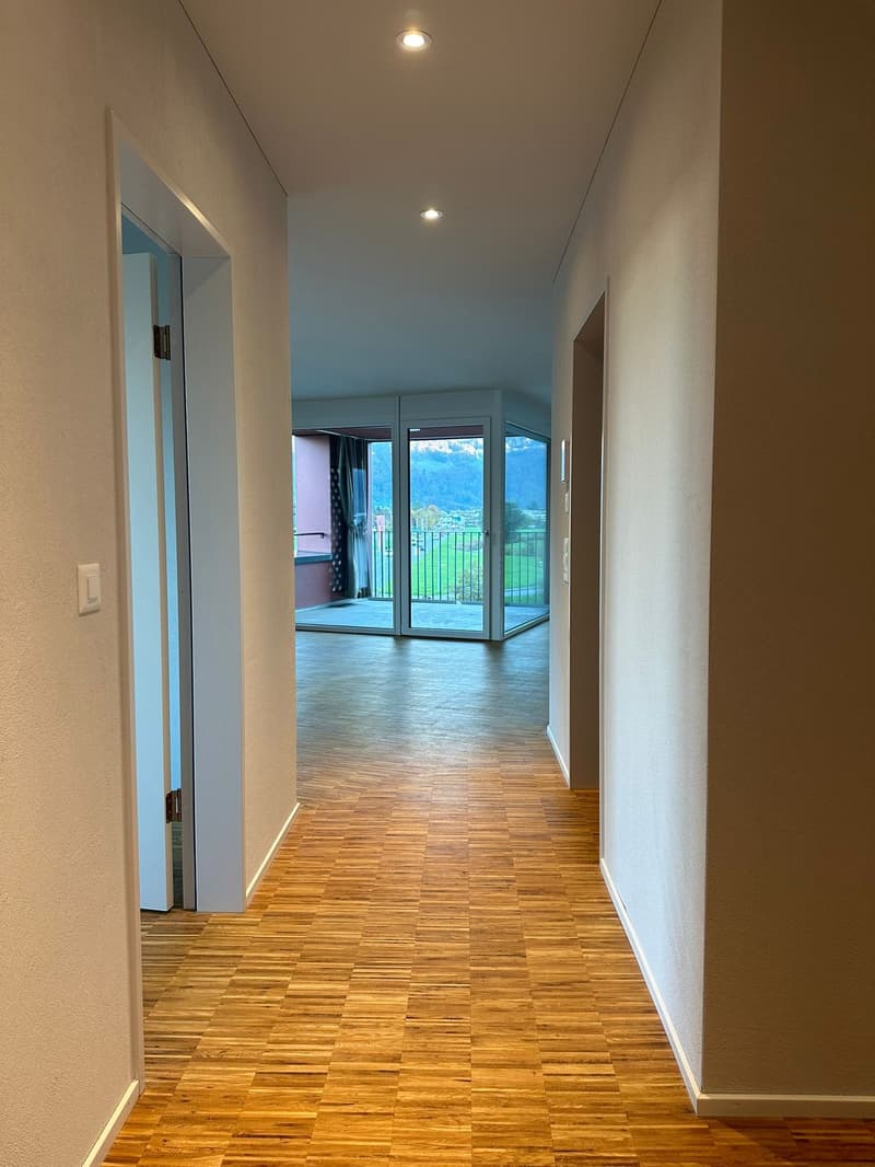 Appartamento luminoso 3.5 locali con vista sulla montagna a Glarus Nord (4)