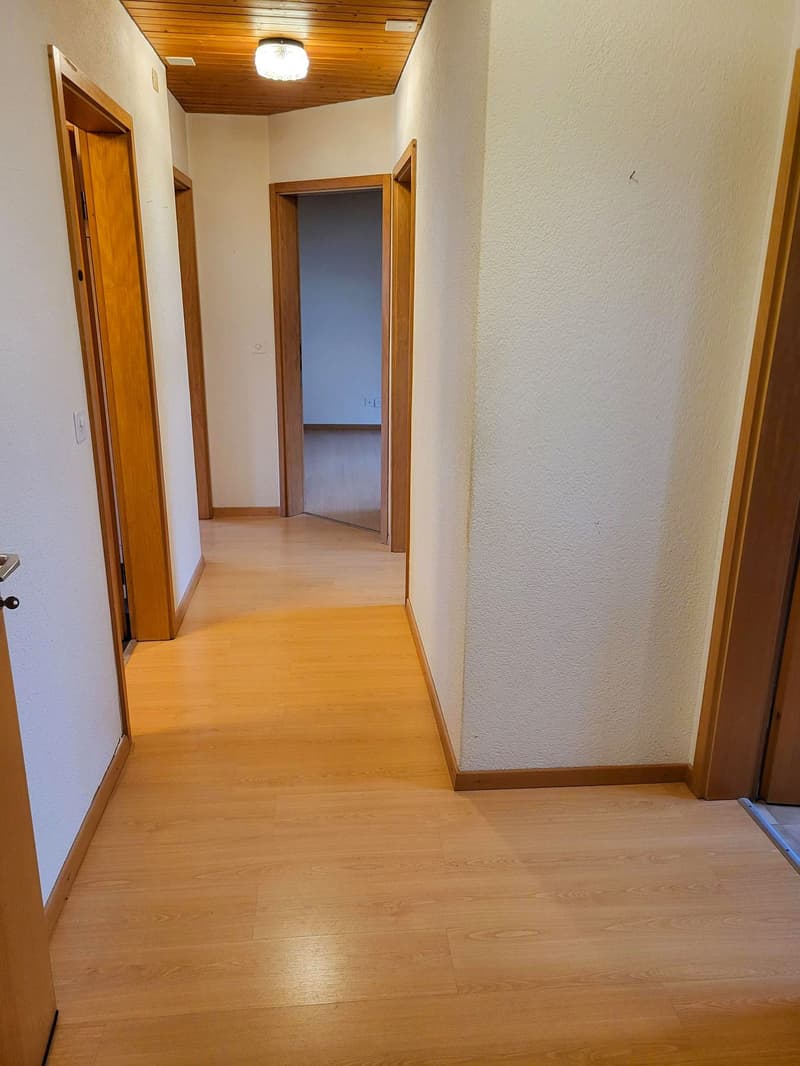 3,5-Zimmerwohnung in ruhigem Wohnquartier und toller Aussicht (5)