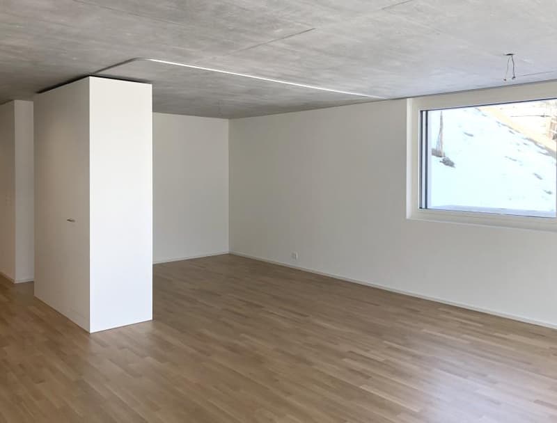Centrally located solid apartment (6)