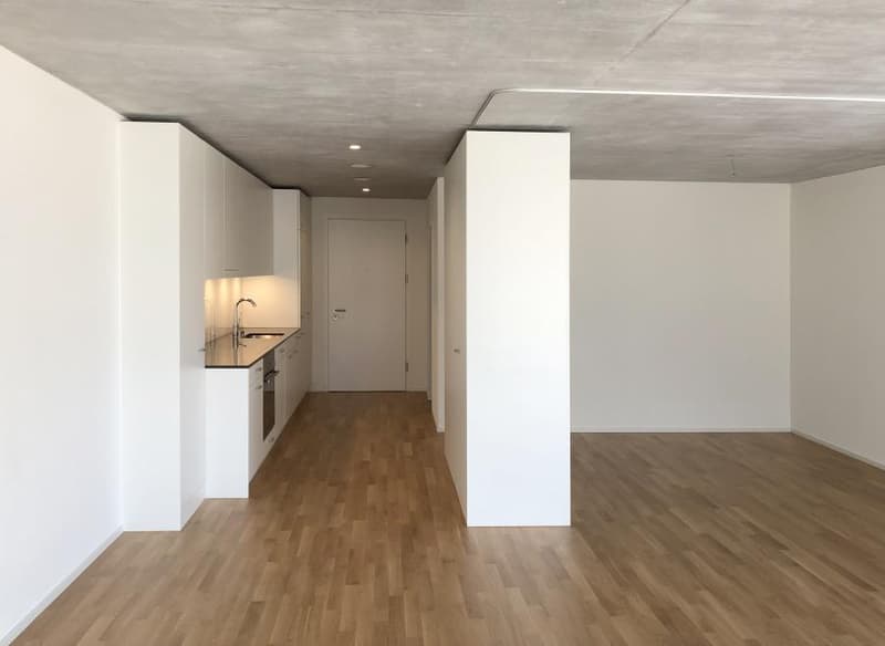 Centrally located solid apartment (5)