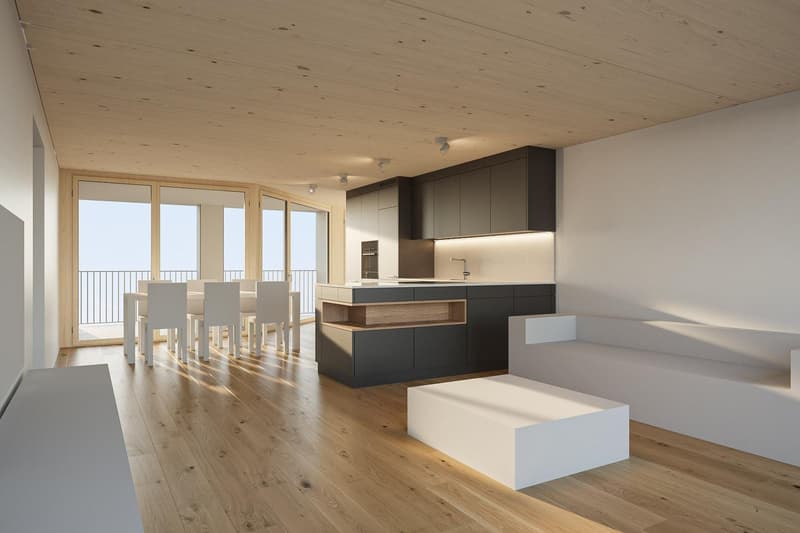 Appartamento nuovo luminoso in affitto nel «Hotel Schwert» (1)