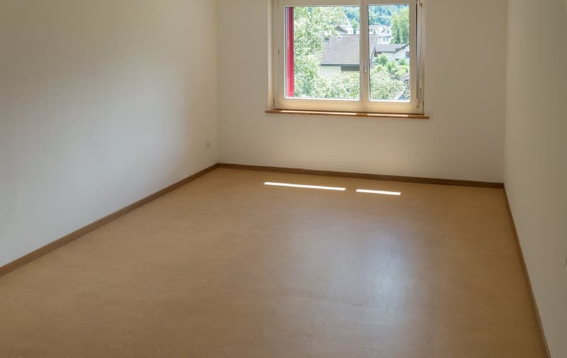 gemütliche Wohnung in einem ruhig gelegenem Quartier (4)