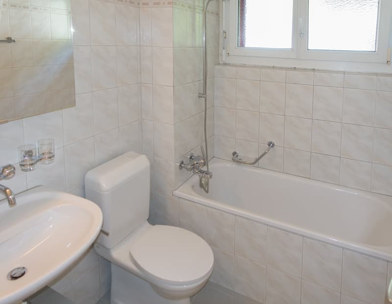gemütliche Wohnung in einem ruhig gelegenem Quartier (2)
