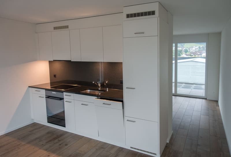 exklusive 2.5-Zimmer-Attikawohnung an zentraler Lage (2)