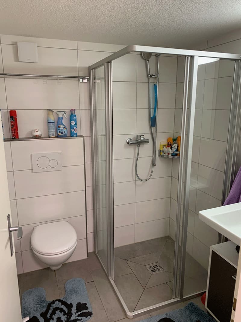 kleine, gemütliche 2-Zimmerwohnung zu vermieten im Zentrum von Ennenda (6)
