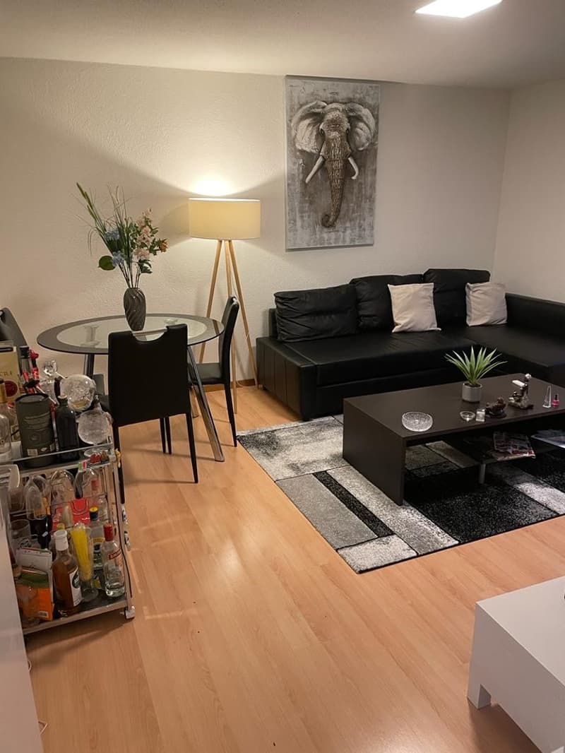 Gemütliche 2-Zimmer-Wohnung im Erdgeschoss in Näfels / BEFRISTET BIS ZUM 31.03.27 (3)