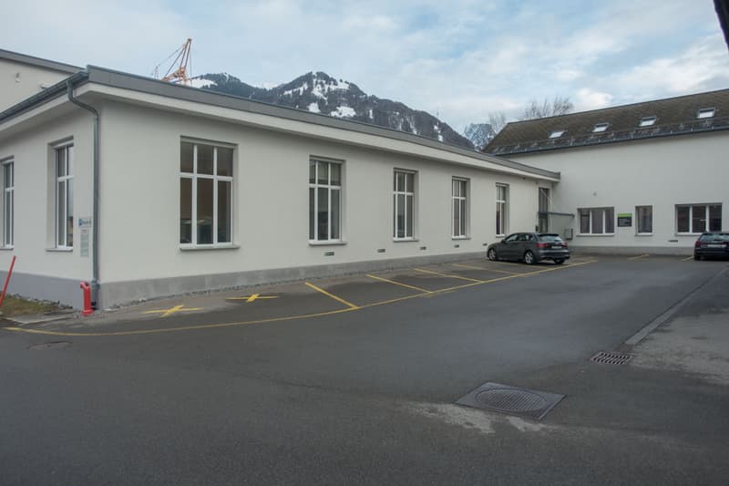 Attika Büro mit traumhafter Aussicht (2)