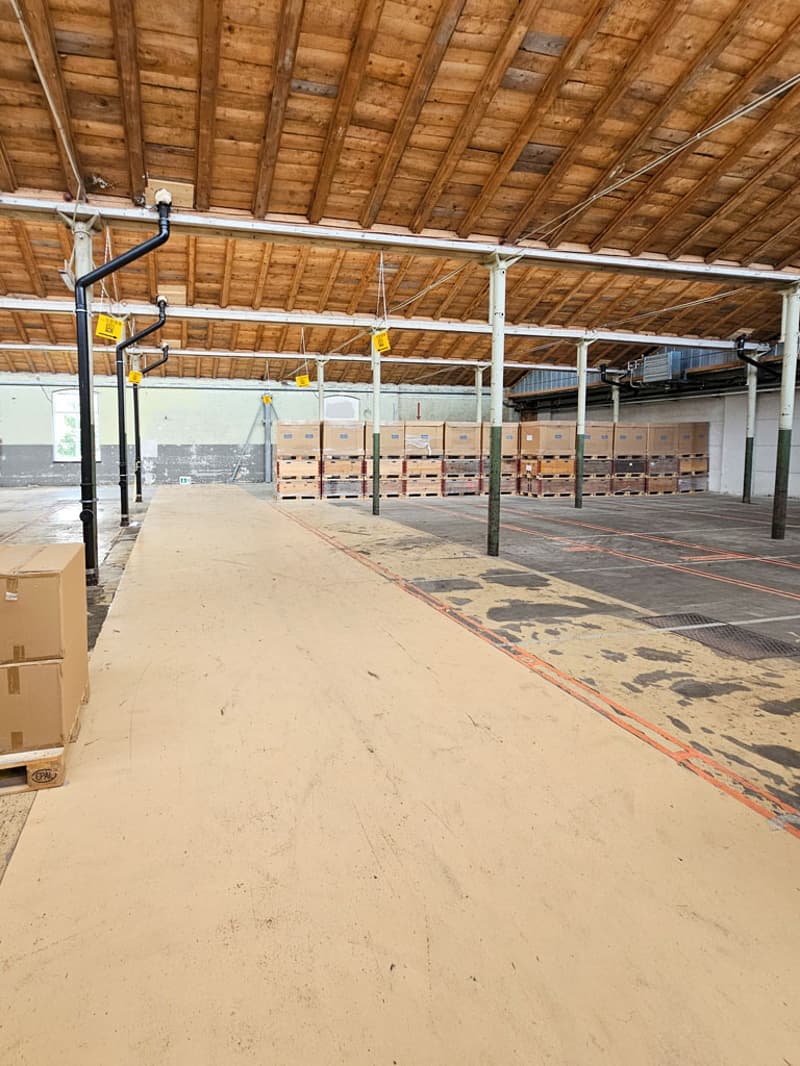 Lichtdurchflutete Gewerbe- oder Lagerflächen ab 290 m2 (1)