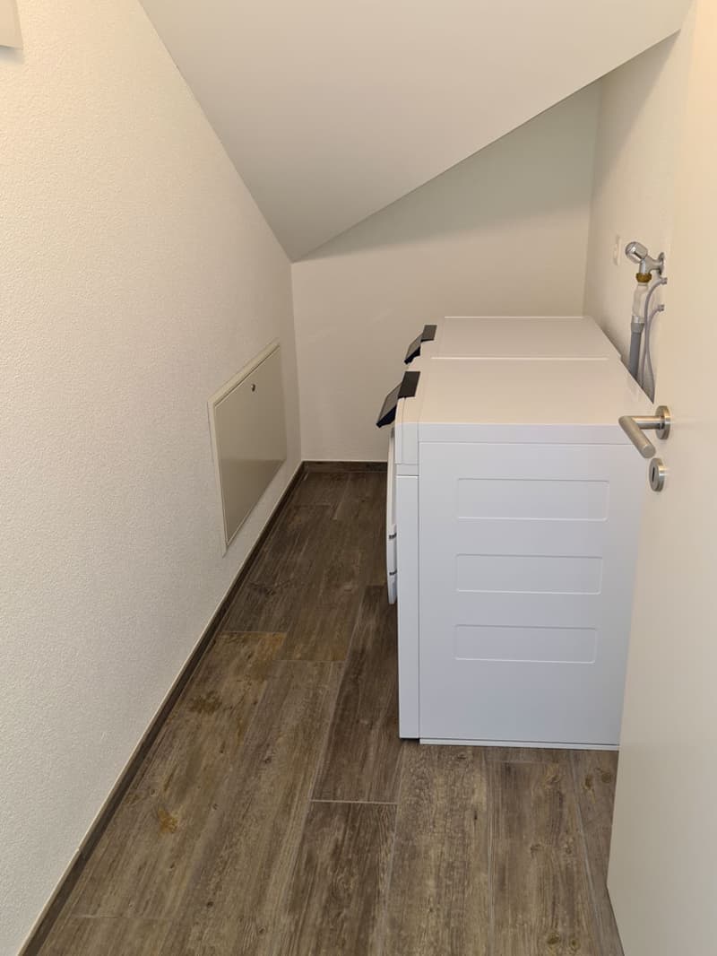 Attraktiv Wohnen im Glarner Hinterland (7)