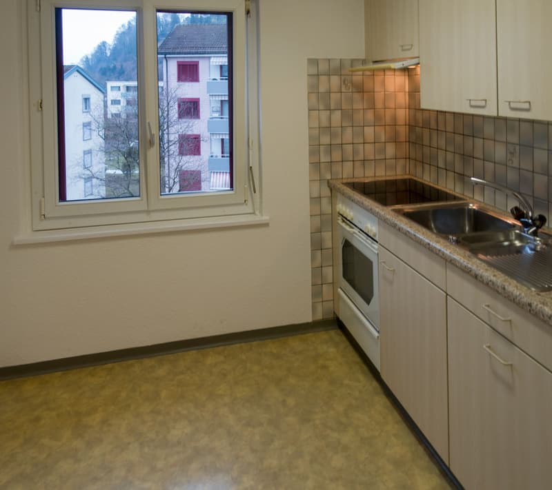 gemütliche Wohnung in einem ruhig gelegenem Quartier (5)