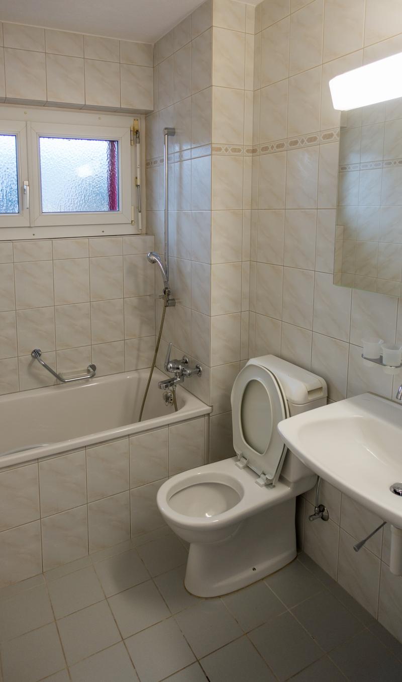 gemütliche Wohnung in einem ruhig gelegenem Quartier (3)