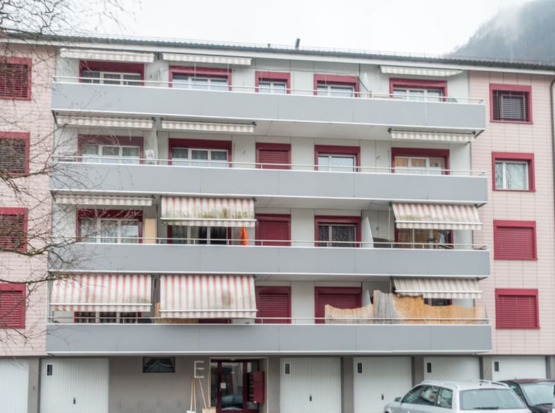 gemütliche Wohnung in einem ruhig gelegenem Quartier (2)