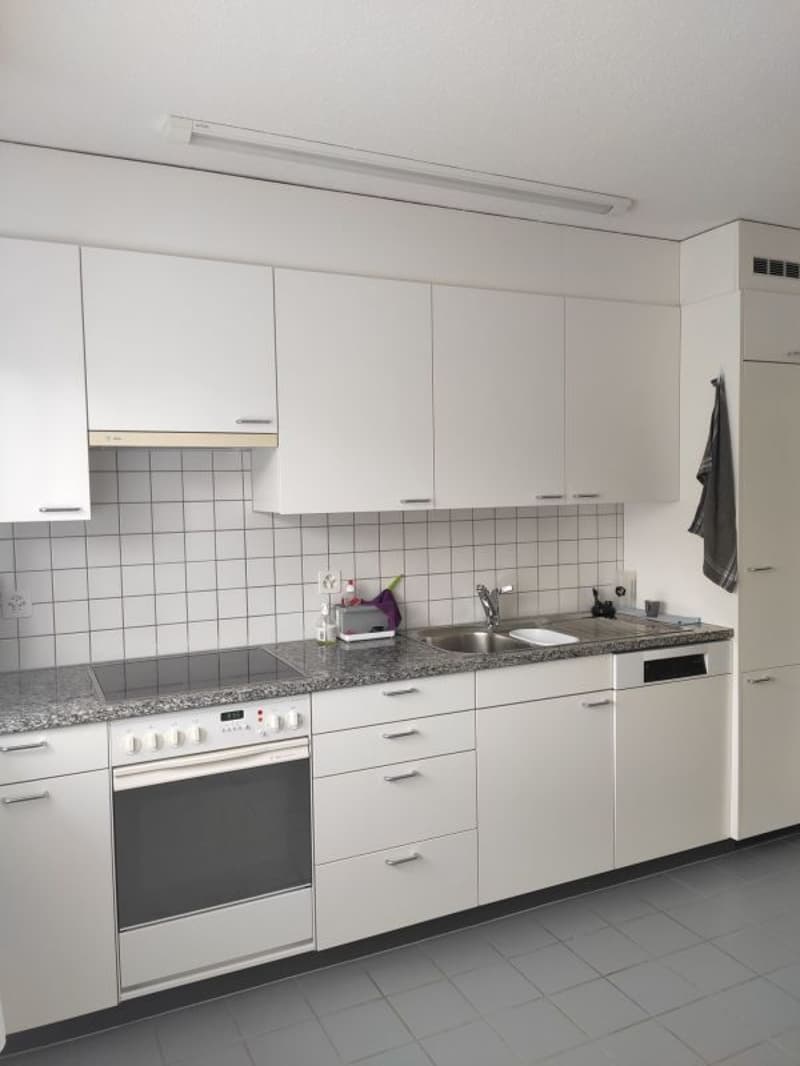 Appartement familial dans le vert (5)