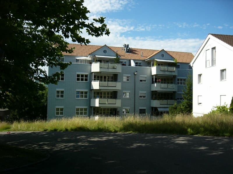 Sonnige Parterre-Wohnung in Bruggen (1)