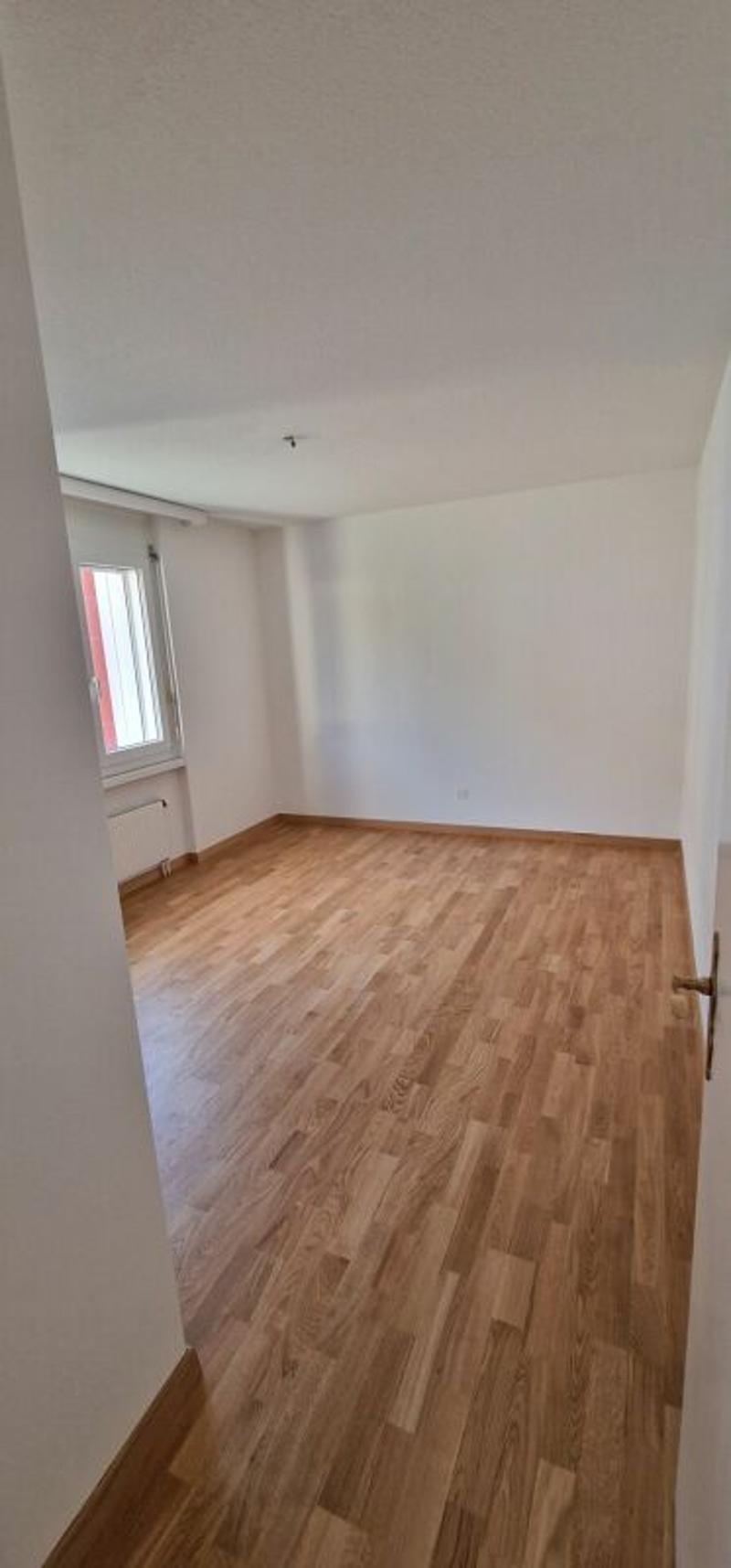 Appartamento tranquillo alla periferia di St. Gallen (6)