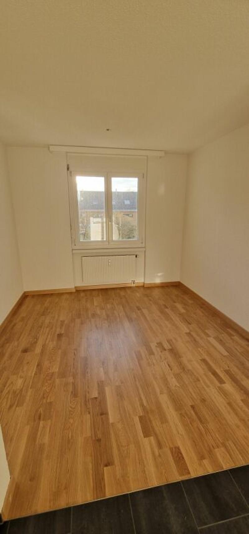 Appartamento tranquillo alla periferia di St. Gallen (4)