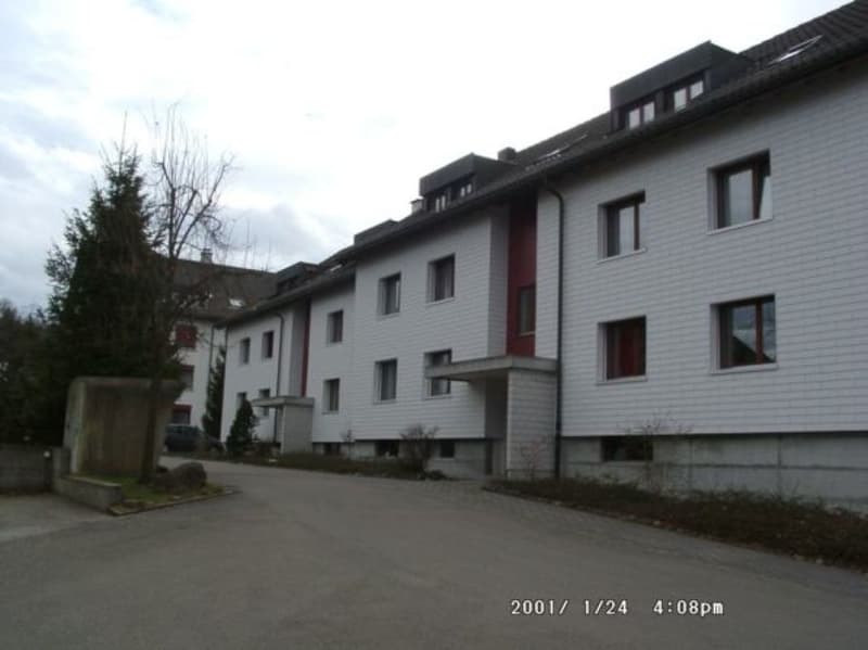 Appartamento tranquillo alla periferia di St. Gallen (1)