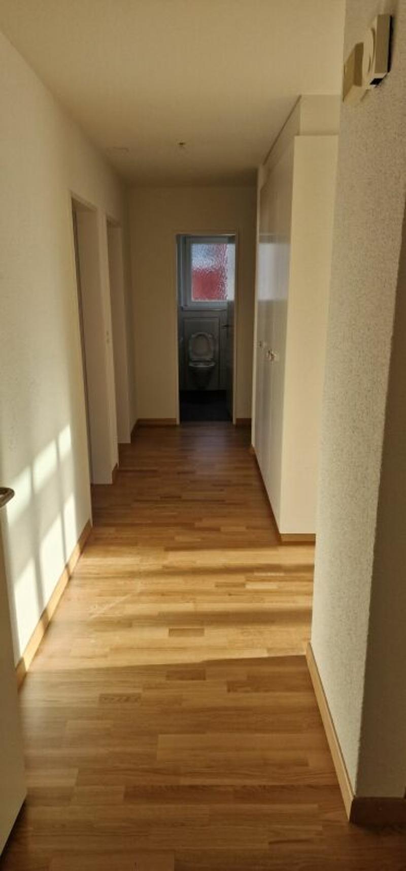 Appartamento tranquillo alla periferia di St. Gallen (3)