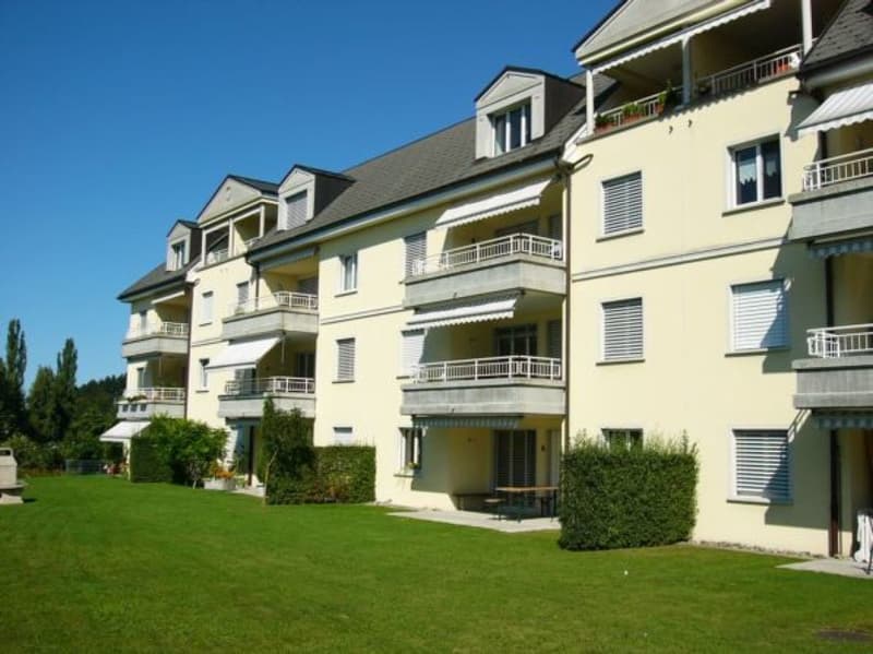 Spacious 4.5-room apartment (2)