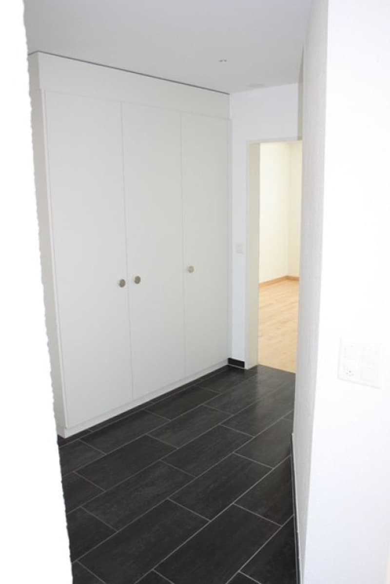 Spacious 4.5-room apartment (7)