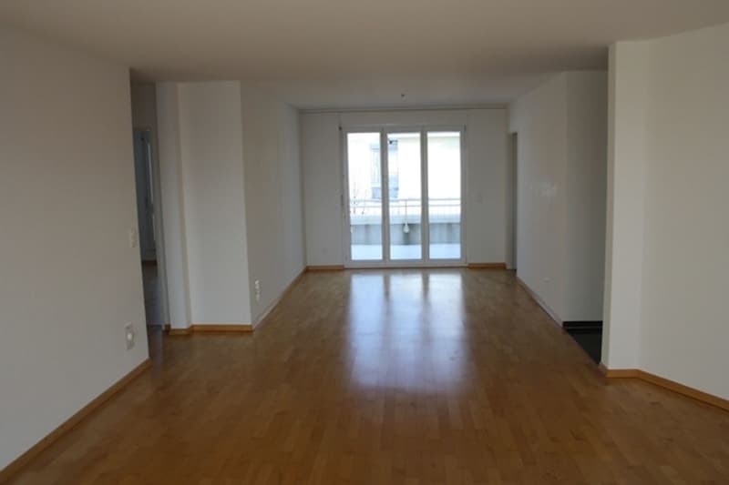 Spacious 4.5-room apartment (4)