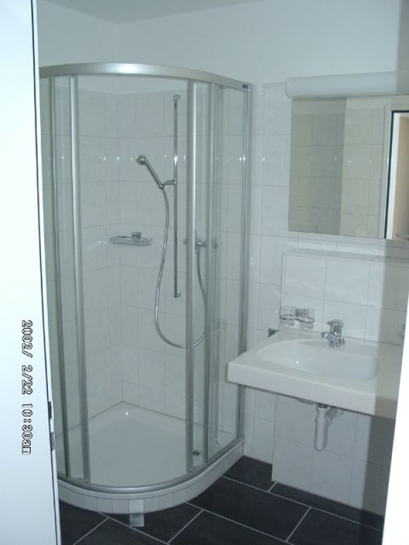 Spacious 4.5-room apartment (10)
