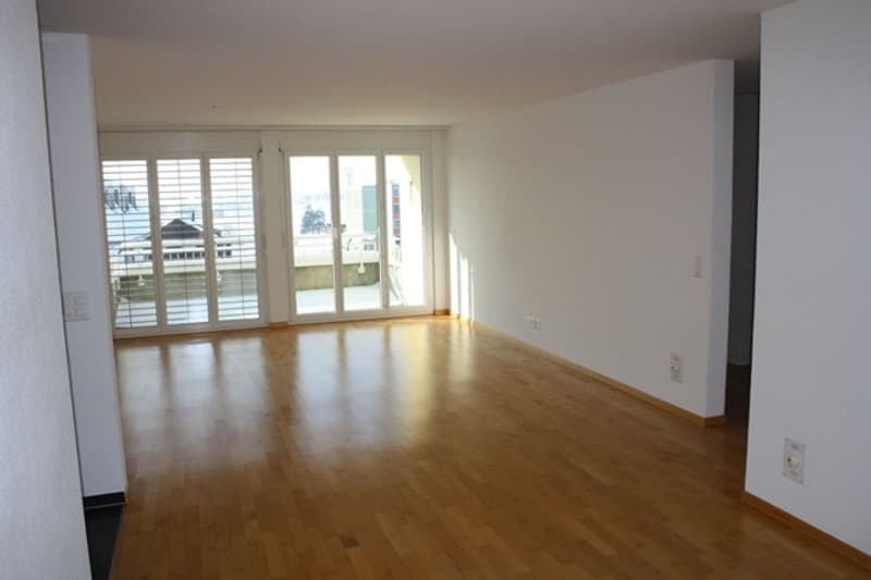 Spacious 4.5-room apartment (3)