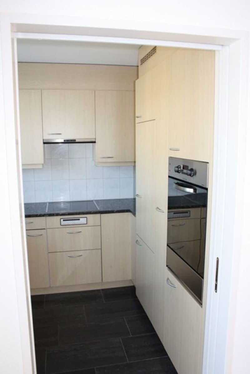 Spacious 4.5-room apartment (9)
