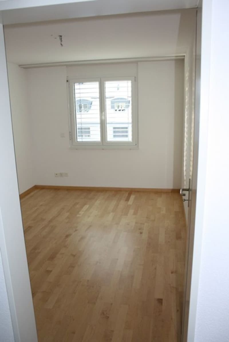 Spacious 4.5-room apartment (6)