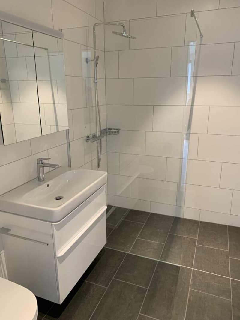 4.5-room apartment (3)